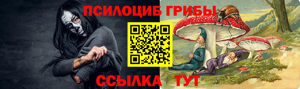 Борзя  Псилоцибиновые грибы Magic Shrooms  Галлюциногенные грибы Cubensis  Вход с VPN 